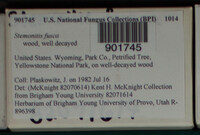 Image Associated With the Occurence